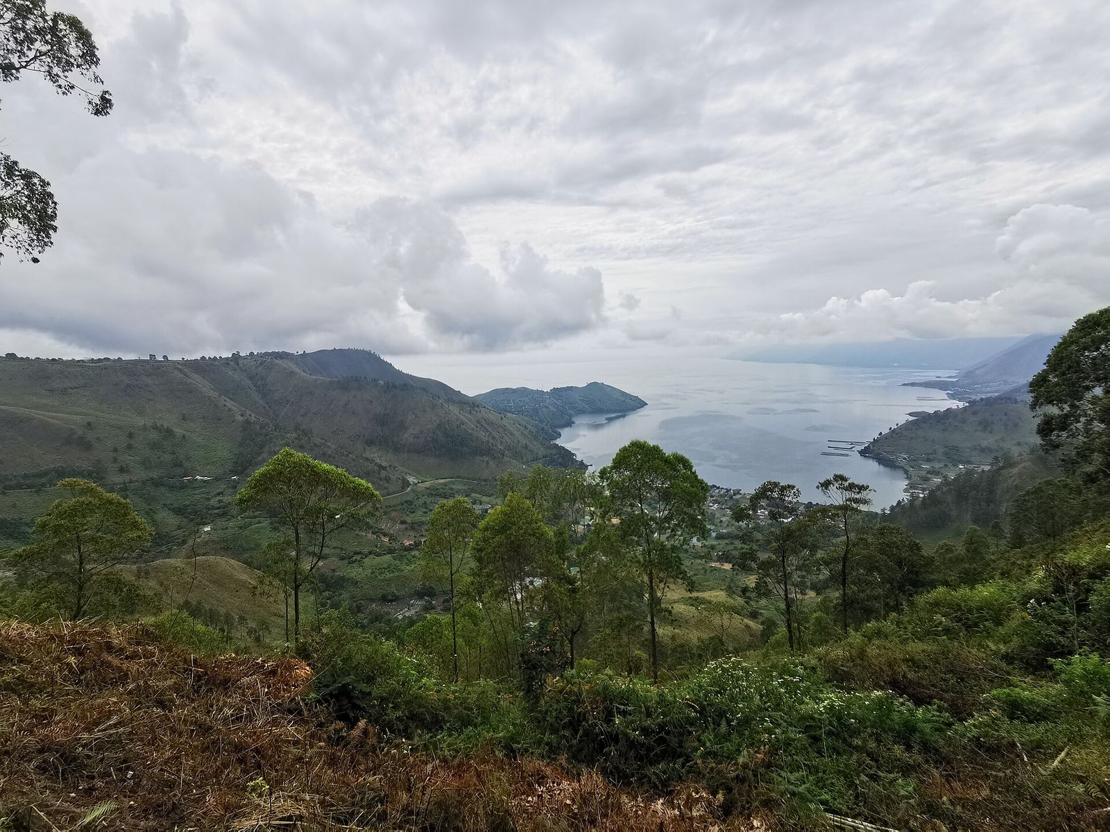 Toba